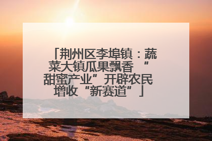 荆州区李埠镇：蔬菜大镇瓜果飘香 “甜蜜产业”开辟农民增收“新赛道”