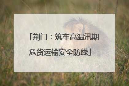 荆门：筑牢高温汛期危货运输安全防线