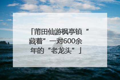 莆田仙游枫亭镇“藏着”一对600余年的“老龙头”