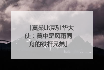 莫桑比克驻华大使：莫中是风雨同舟的铁杆兄弟