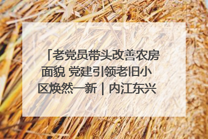 老党员带头改善农房面貌 党建引领老旧小区焕然一新｜内江东兴“红”在哪？④