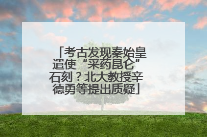 考古发现秦始皇遣使“采药昆仑”石刻？北大教授辛德勇等提出质疑