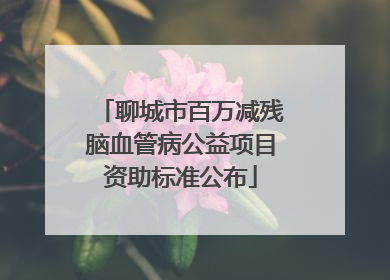 聊城市百万减残脑血管病公益项目资助标准公布