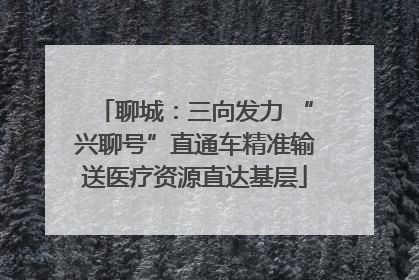 聊城：三向发力 “兴聊号”直通车精准输送医疗资源直达基层