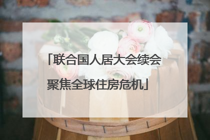 联合国人居大会续会聚焦全球住房危机