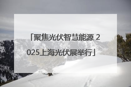 聚焦光伏智慧能源 2025上海光伏展举行