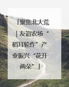 聚焦北大荒｜友谊农场“稻耳轮作”产业振兴“花开两朵”