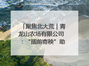 聚焦北大荒｜青龙山农场有限公司：“插前寄秧”助力农业节本增效