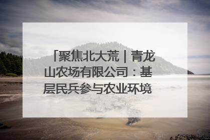 聚焦北大荒｜青龙山农场有限公司：基层民兵参与农业环境综合治理显效