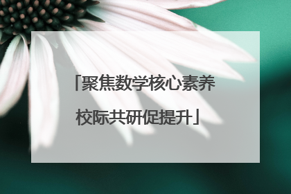 聚焦数学核心素养 校际共研促提升