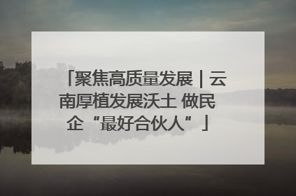 聚焦高质量发展｜云南厚植发展沃土 做民企“最好合伙人”