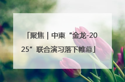 聚焦｜中柬“金龙-2025”联合演习落下帷幕