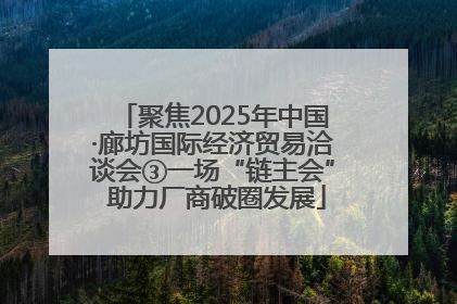 聚焦2025年中国·廊坊国际经济贸易洽谈会③一场“链主会” 助力厂商破圈发展