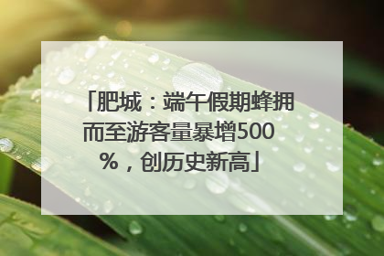 肥城：端午假期蜂拥而至游客量暴增500%，创历史新高