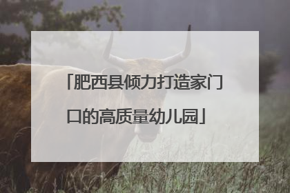 肥西县倾力打造家门口的高质量幼儿园