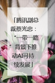 腾讯副总裁蔡光忠：“一带一路”背景下推动AI可持续发展
