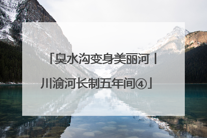 臭水沟变身美丽河丨川渝河长制五年间④
