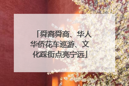 舜裔舜商、华人华侨花车巡游、文化踩街点亮宁远