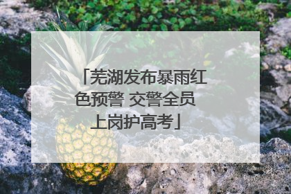 芜湖发布暴雨红色预警 交警全员上岗护高考