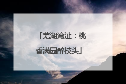 芜湖湾沚：桃香满园醉枝头