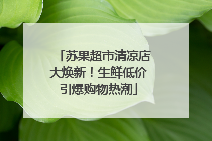 苏果超市清凉店大焕新！生鲜低价引爆购物热潮