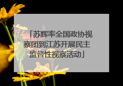 苏辉率全国政协视察团到江苏开展民主监督性视察活动