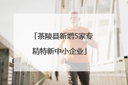 茶陵县新增5家专精特新中小企业