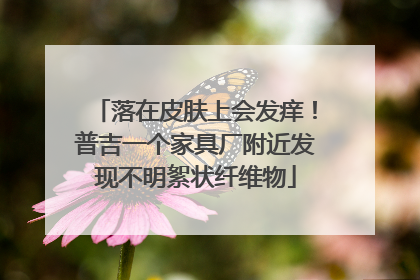 落在皮肤上会发痒！普吉一个家具厂附近发现不明絮状纤维物