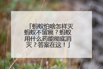 蚂蚁怕啥怎样灭蚂蚁不留痕？蚂蚁用什么药能彻底消灭？答案在这！