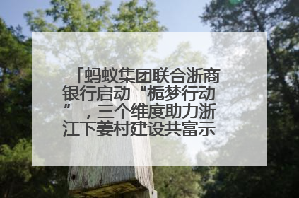 蚂蚁集团联合浙商银行启动“栀梦行动”，三个维度助力浙江下姜村建设共富示范区示范点