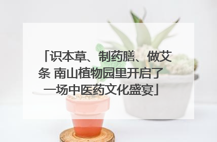 识本草、制药膳、做艾条 南山植物园里开启了一场中医药文化盛宴