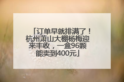 订单早就排满了！杭州萧山大棚杨梅迎来丰收，一盒96颗能卖到400元