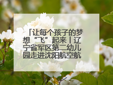 让每个孩子的梦想“飞”起来丨辽宁省军区第二幼儿园走进沈阳航空航天大学开展爱国主义教育