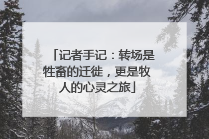 记者手记：转场是牲畜的迁徙，更是牧人的心灵之旅