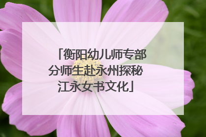 衡阳幼儿师专部分师生赴永州探秘江永女书文化