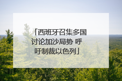 西班牙召集多国讨论加沙局势 呼吁制裁以色列