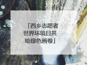 西乡志愿者世界环境日共绘绿色画卷