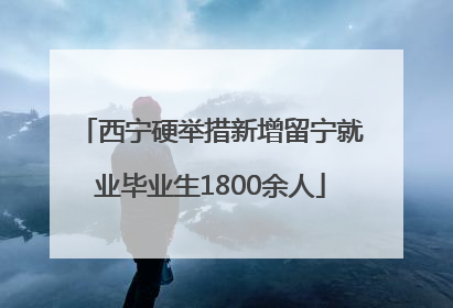 西宁硬举措新增留宁就业毕业生1800余人