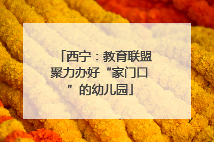 西宁：教育联盟聚力办好“家门口”的幼儿园