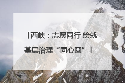 西峡：志愿同行 绘就基层治理“同心圆”
