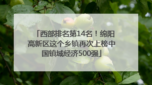 西部排名第14名！绵阳高新区这个乡镇再次上榜中国镇域经济500强