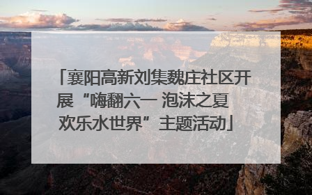 襄阳高新刘集魏庄社区开展“嗨翻六一 泡沫之夏 欢乐水世界”主题活动