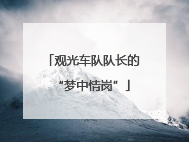 观光车队队长的“梦中情岗”