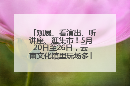 观展、看演出、听讲座、逛集市！5月20日至26日，云南文化馆里玩场多