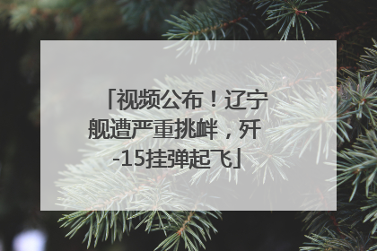 视频公布！辽宁舰遭严重挑衅，歼-15挂弹起飞