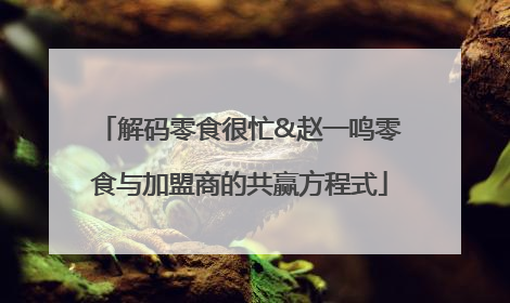 解码零食很忙&赵一鸣零食与加盟商的共赢方程式