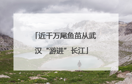 近千万尾鱼苗从武汉“游进”长江