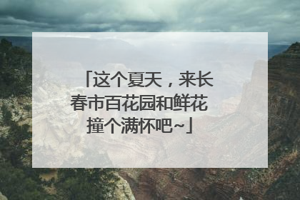 这个夏天，来长春市百花园和鲜花撞个满怀吧~
