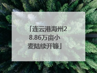 连云港海州28.86万亩小麦陆续开镰