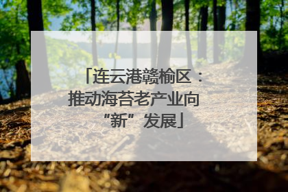 连云港赣榆区：推动海苔老产业向“新”发展